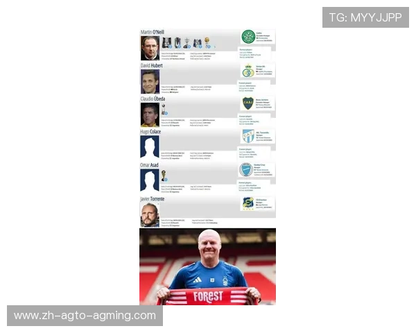 英超最佳年轻球员奖历届获奖者及成长轨迹分析