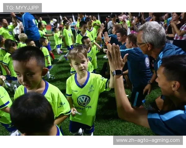 赞扬德甲球队的经典诗句及文化背景 赞扬德甲球队的经典诗句及文化背景